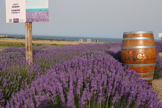 Tour image 3